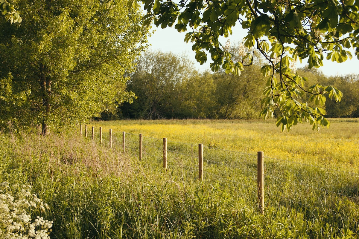Oxfordshire field