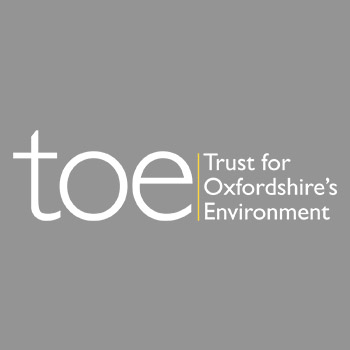 TOE logo