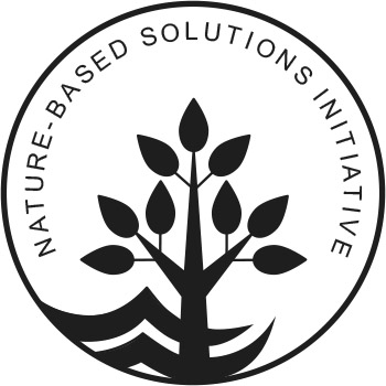 NbSI logo