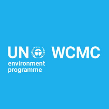 Blue wcmc logo