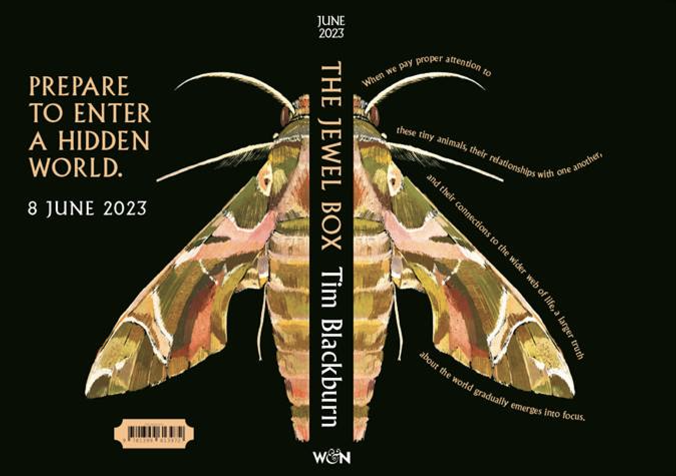 The Jewel Box: How moths illuminate nature’s hidden rules.