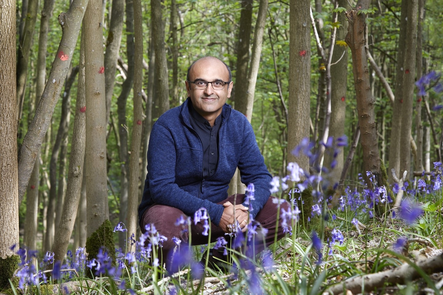 Man crouching among bluebells with trees behind