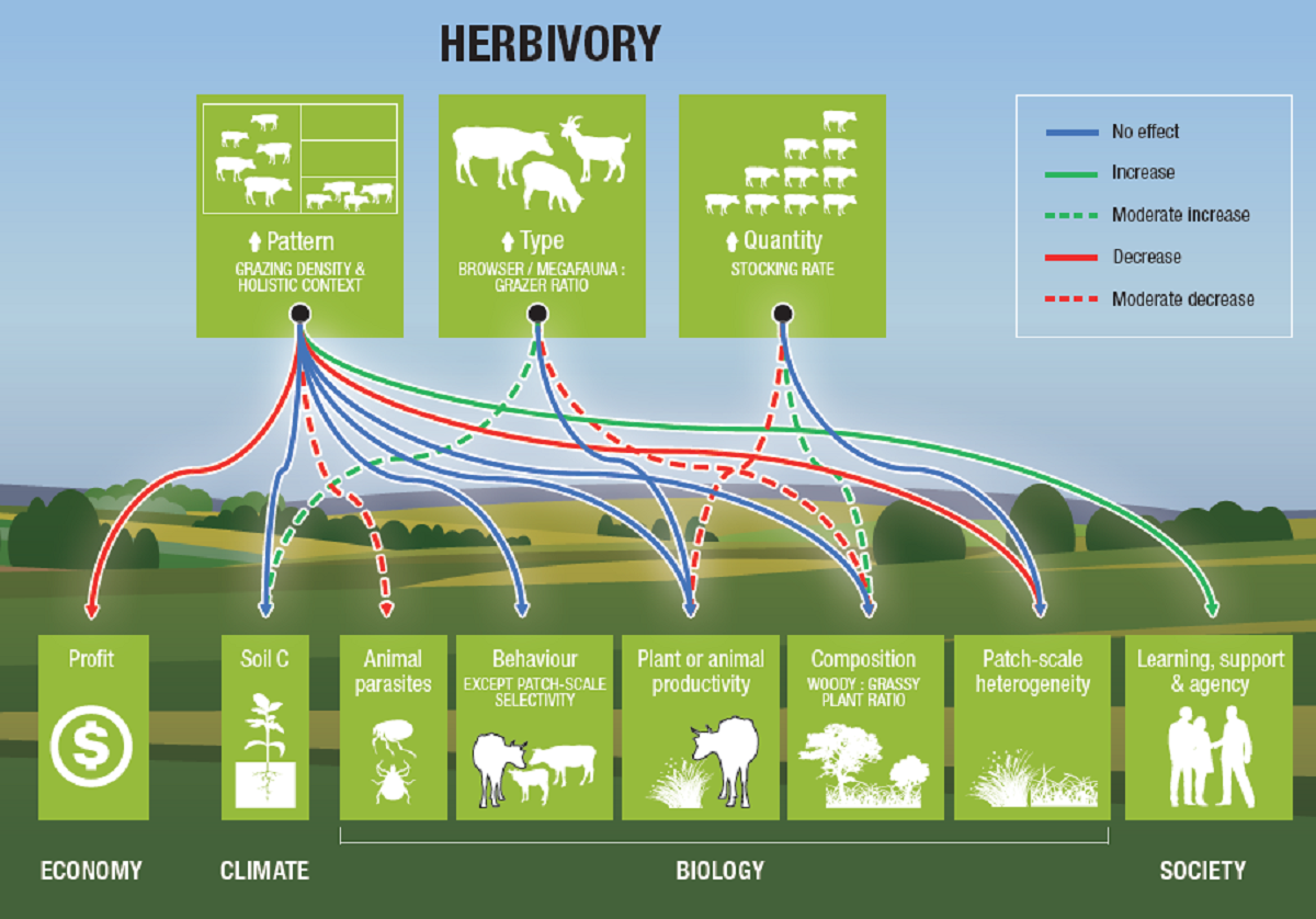 Holistic Management: Claims are not supported but are there social lessons to be learnt?