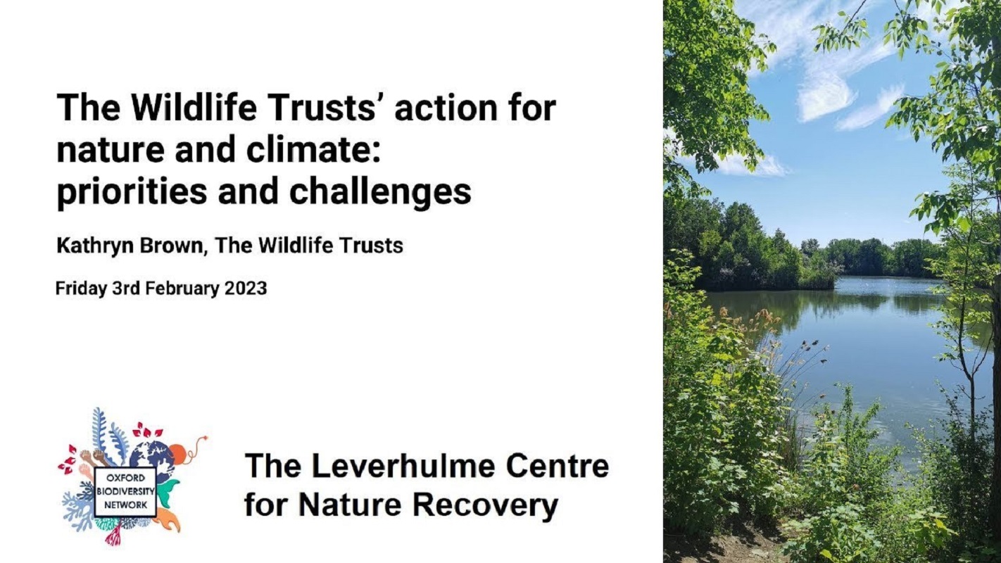 The Wildlife Trust’s action for nature and climate: priorities and challenges