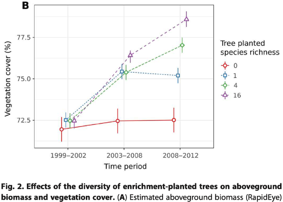 Replanting logged forests with diverse mixtures of seedlings accelerates restoration