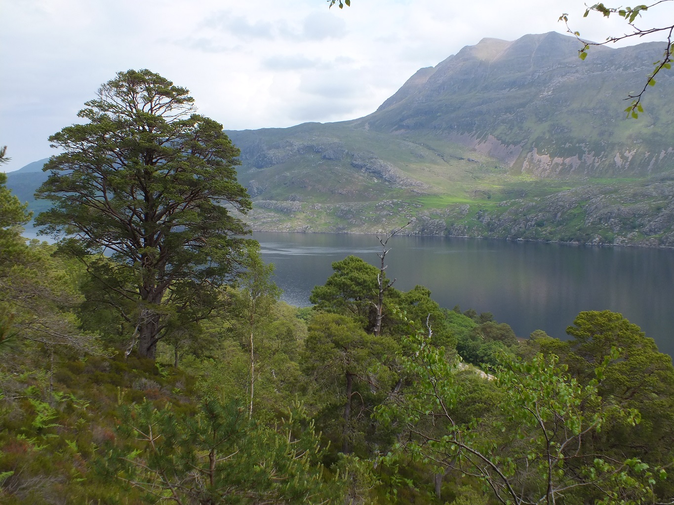 Green trees in the foreground, with a lake on the other side of the lak is a steep mountain