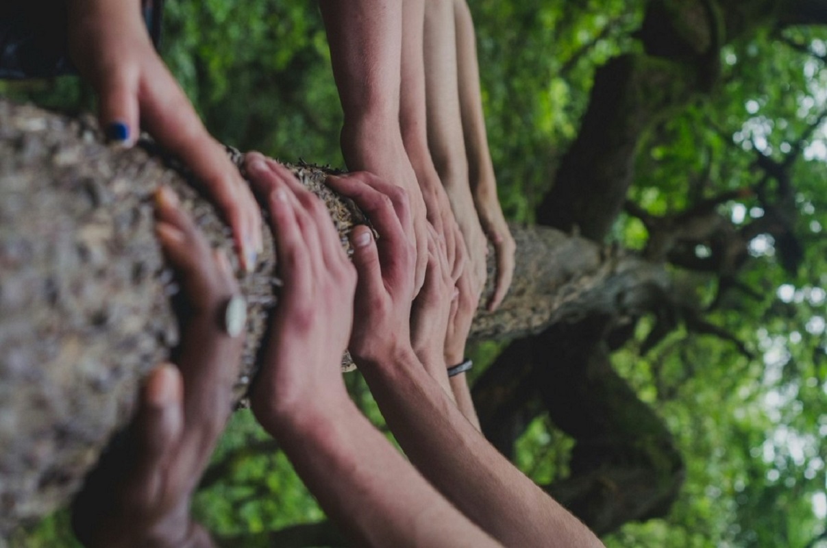 Different peoples hands resting on the trunk of a tree